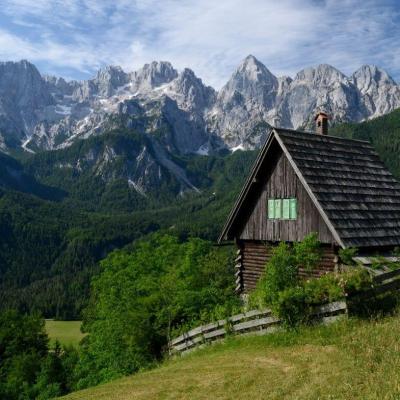 Julian Alps Gozd Martuljek 1180x785